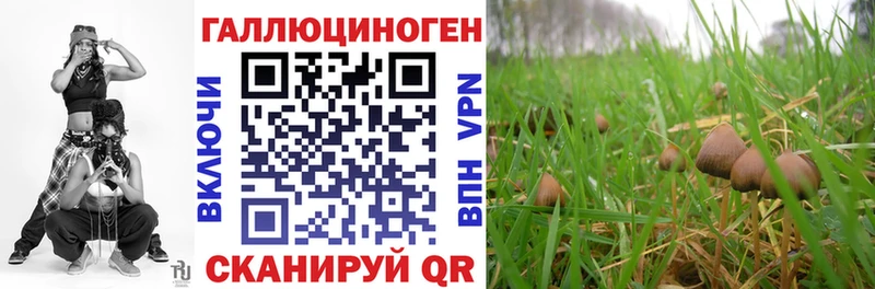 Купить где  Октябрьск  Галлюциногенные грибы прущие грибы 
